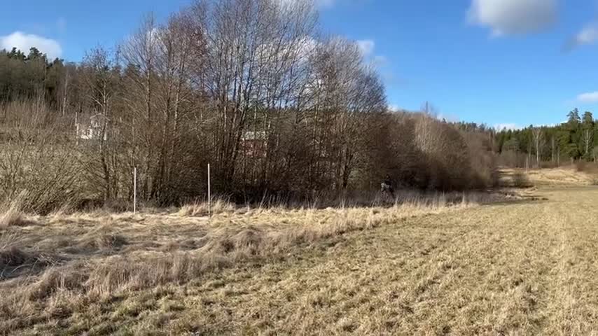 Allround hästar till salu: Haflinger kille med mycket personlighet 💛 i Olofstorp - Video 3