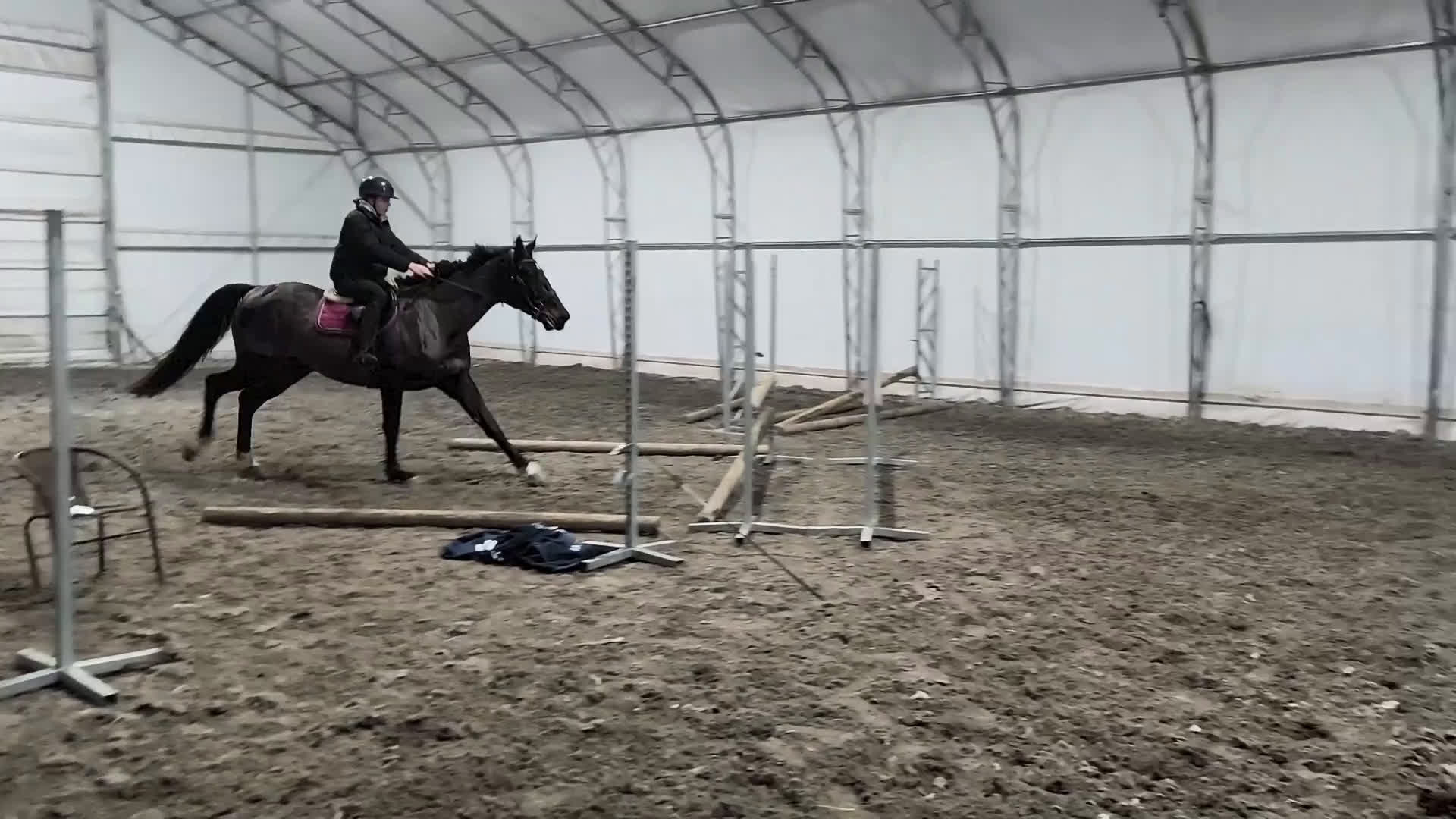 Hoppning hästar till salu: Lovely mare looking for Home i Stockholm - Video 1