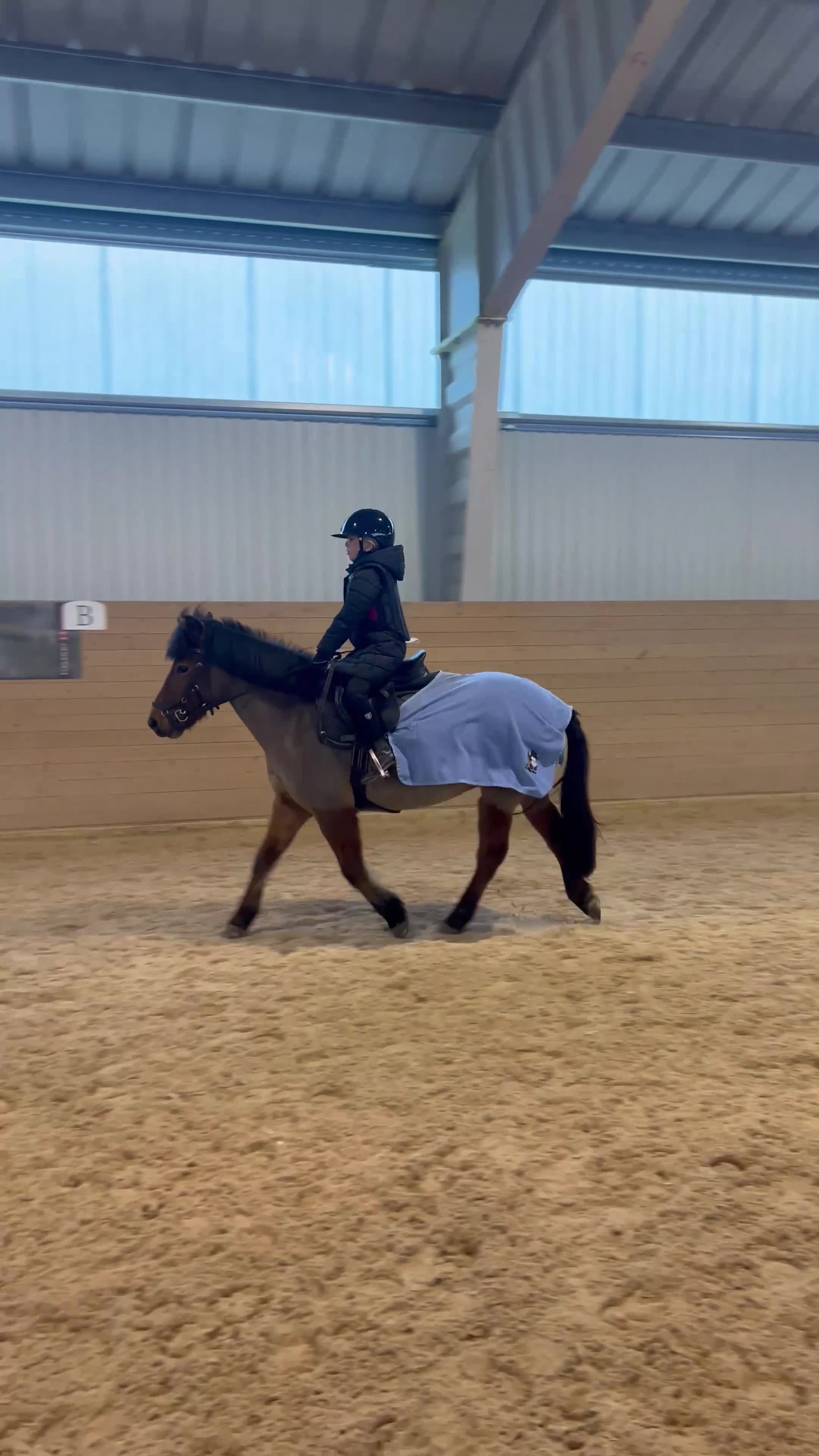 Allround hästar till salu: 🌟Sibborp’s Elwira🌟 - Video 4