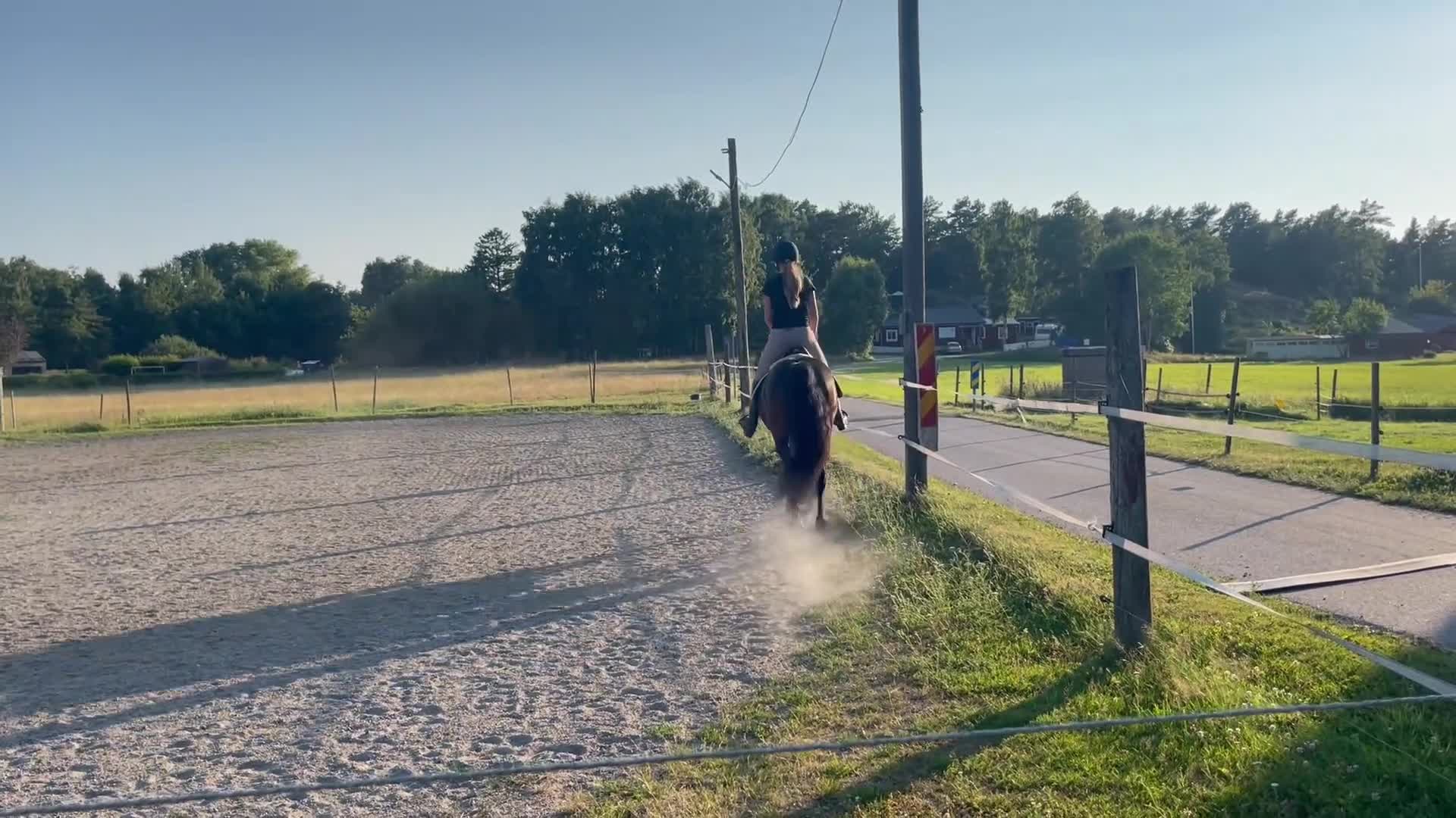 Allround hästar till salu: Ponny som syns i mängden - Video 2