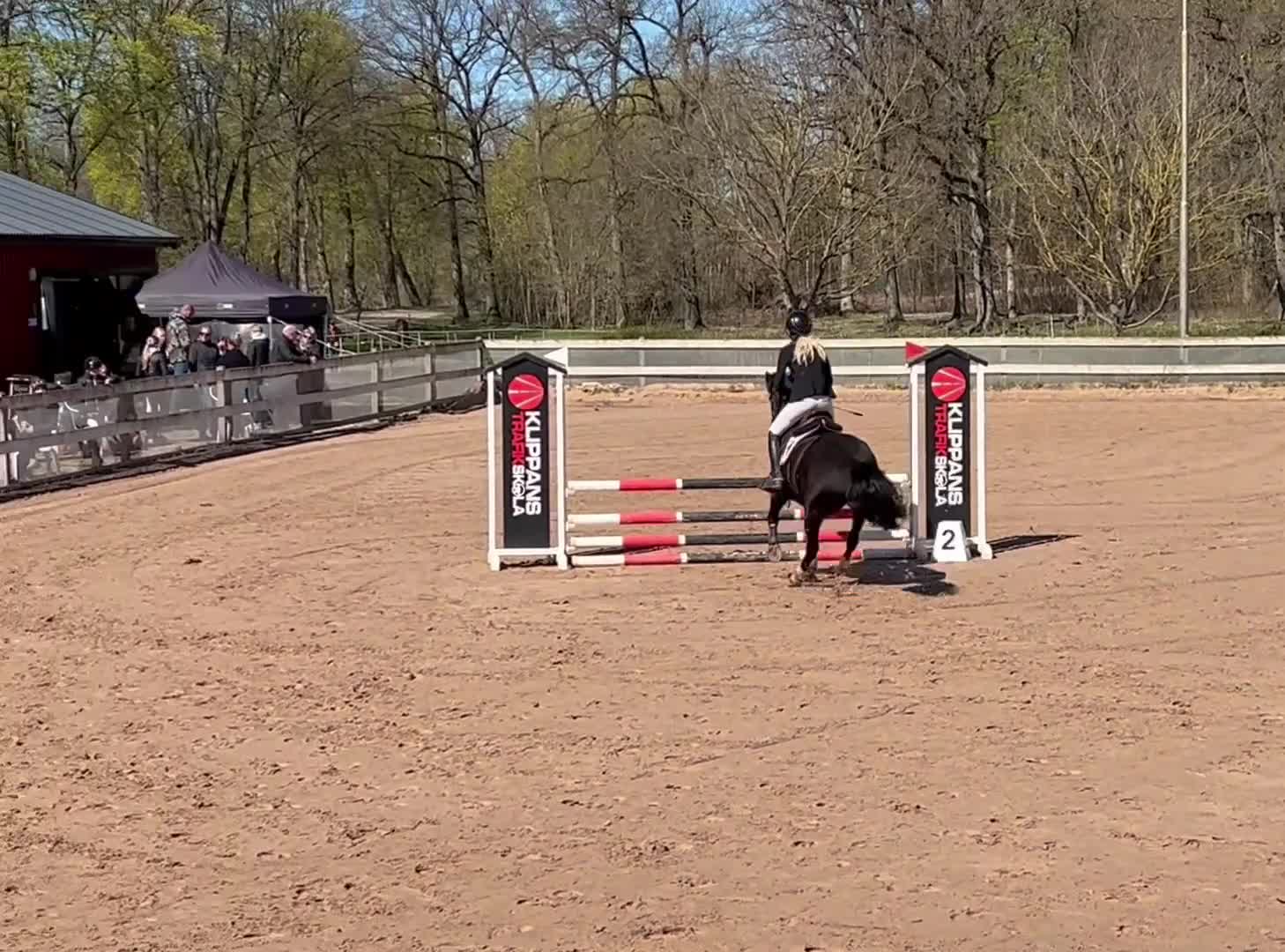 Allround hästar till salu: Allround ponny - Video 1