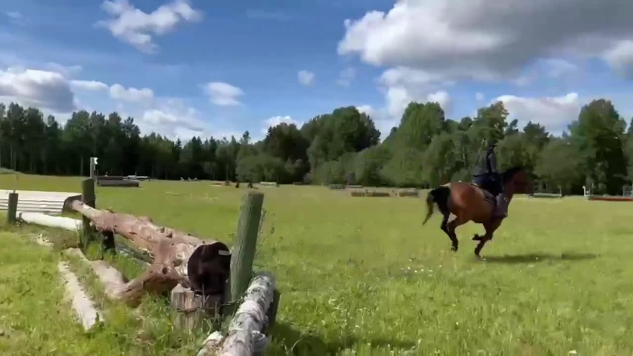 Fälttävlan hästar till salu: Liten häftig häst med krut! i Kil - Video 1