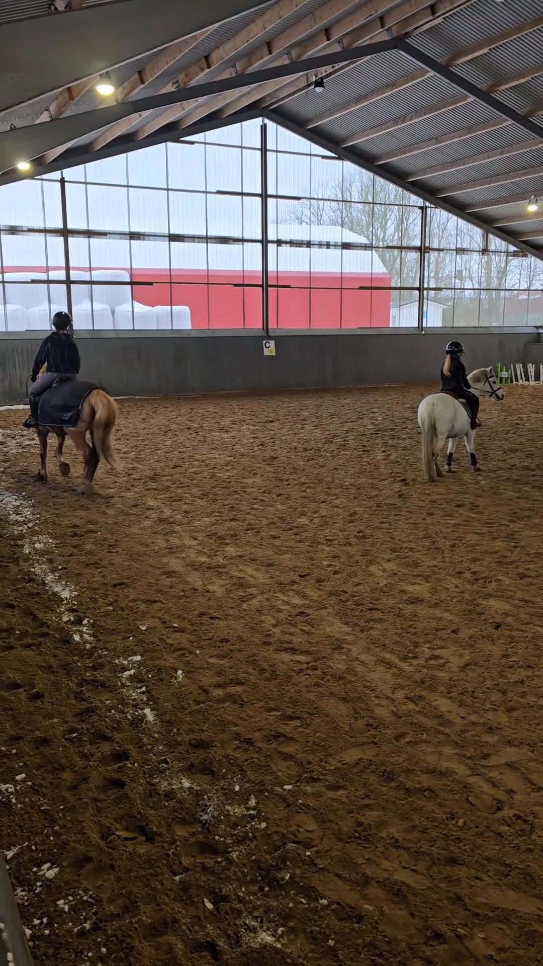 Allround hästar till salu: Fin och pålitlig allroundponny – läromästare i Kungälv - Video 2