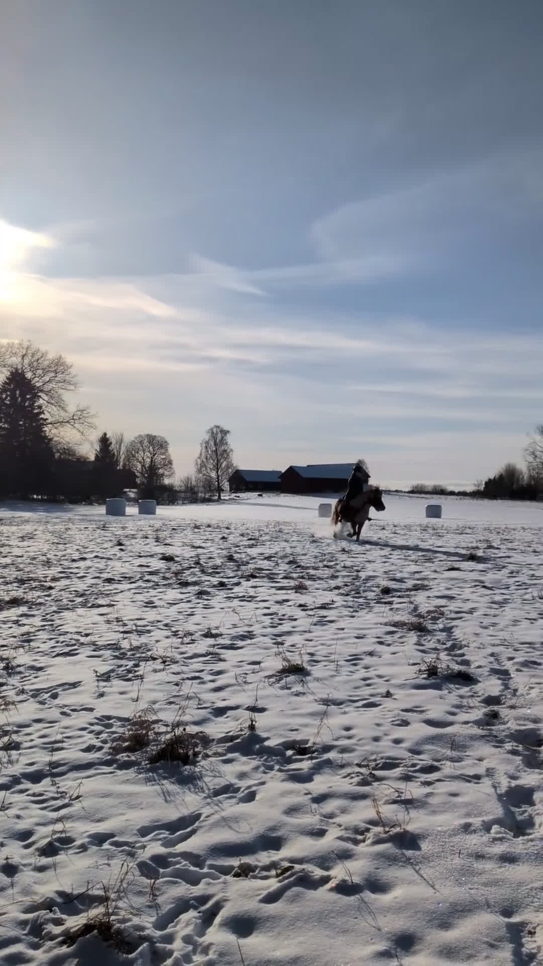 Island hästar till salu: Menja från Kyrkbyn - mycket trevlig islandshäst  i Stigtomta - Video 2