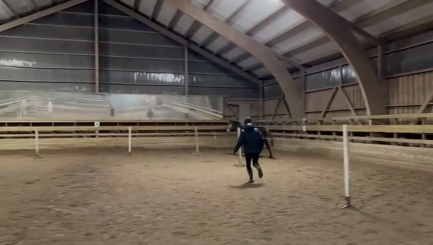 Hoppning hästar till salu: Caressa V - framtidssto med toppstam  i Nybro - Video 1