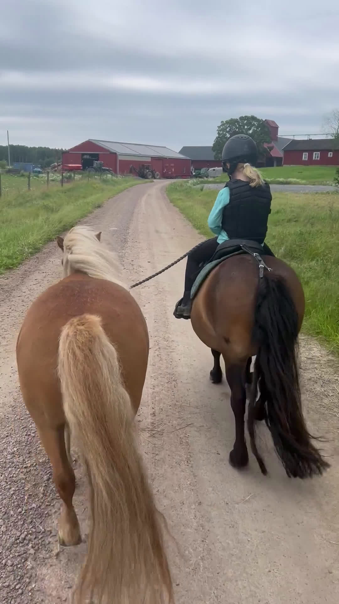Allround hästar till salu: 2 fina barnvänliga ston i Kolbäck - Video 1