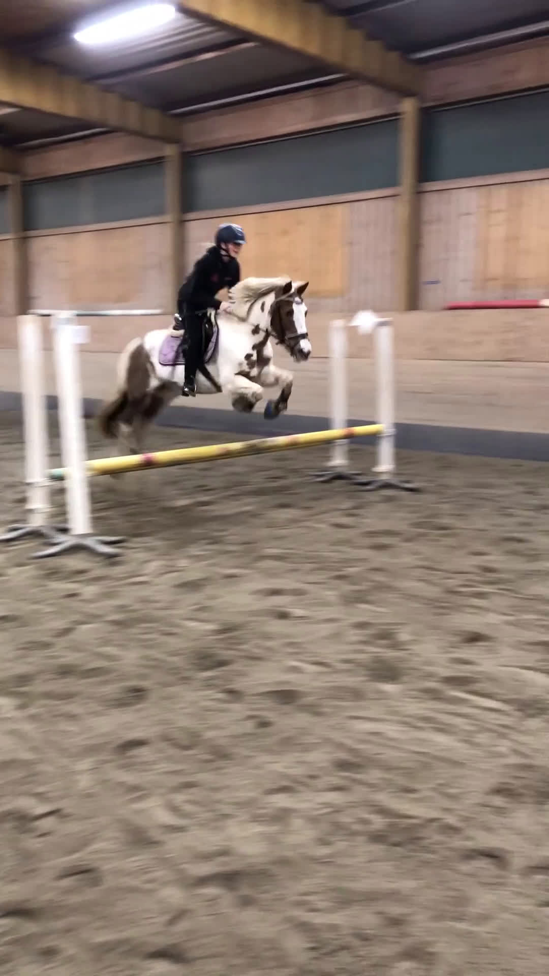 Allround hästar till salu: Fin läromästare  i Tidaholm - Video 3