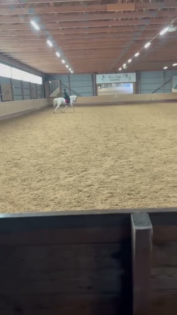 Allround hästar till salu: Maxad D-ponny med hjärtat på rätt plats! 🐴💛 i Vallentuna - Video 1