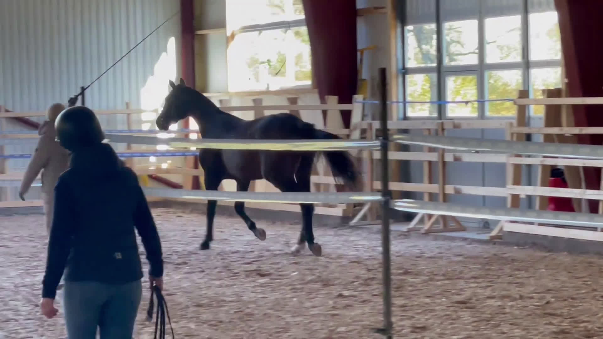 Dressyr hästar till salu: Framtida sporthäst f.2023 i Vinninga - Video 2