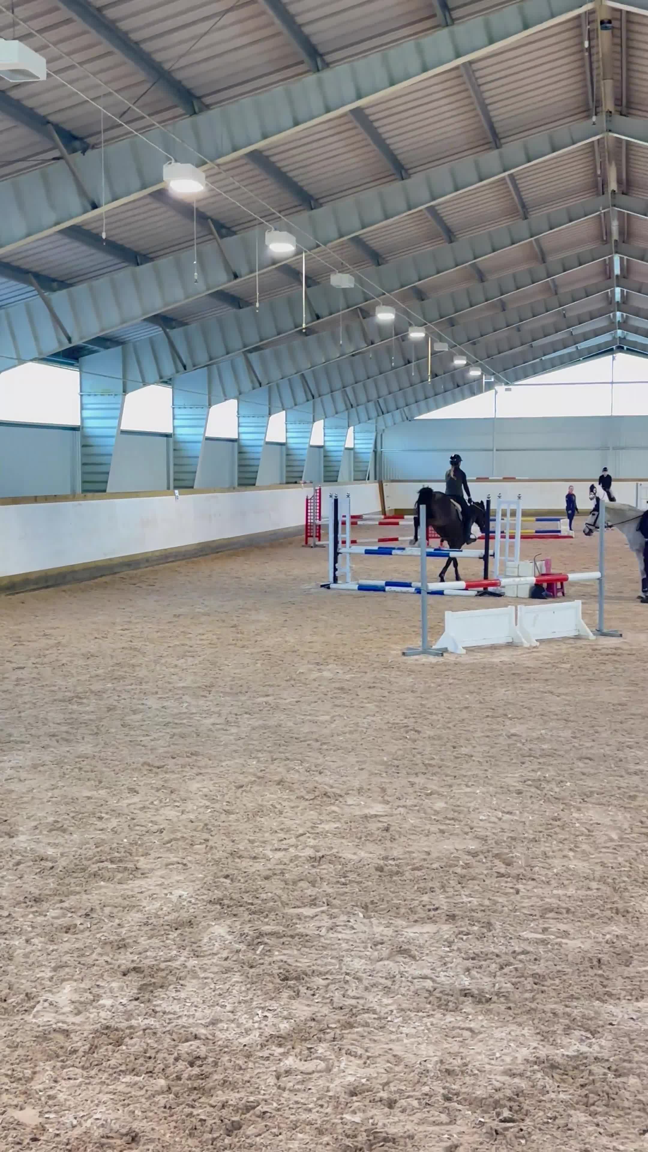 Allround hästar till salu: Bästa vän🩷  - Video 1