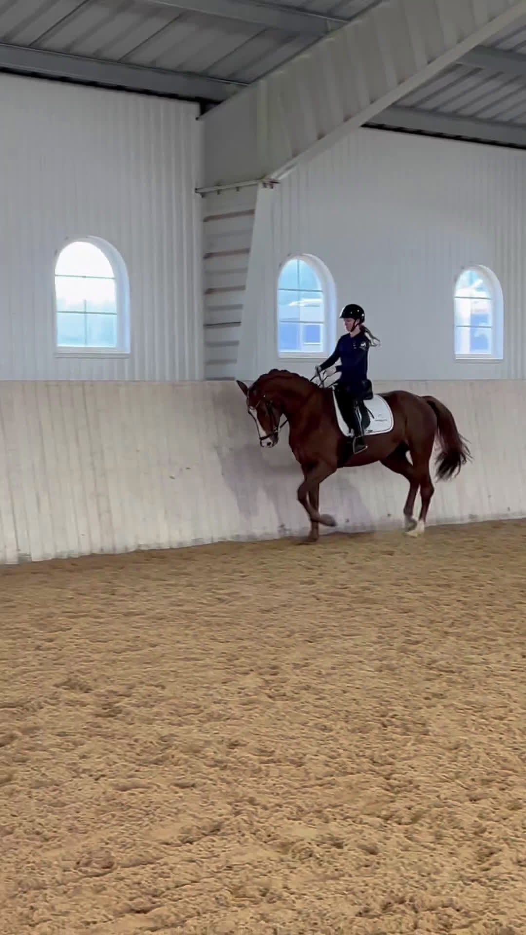 Dressyr hästar till salu: Lovande unghäst för framtiden  i Tranås - Video 2