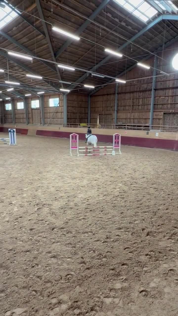 Allround hästar till salu: ⭐️Perfekt förstaponny och bästa vän⭐️🤍 i Torslanda - Video 1