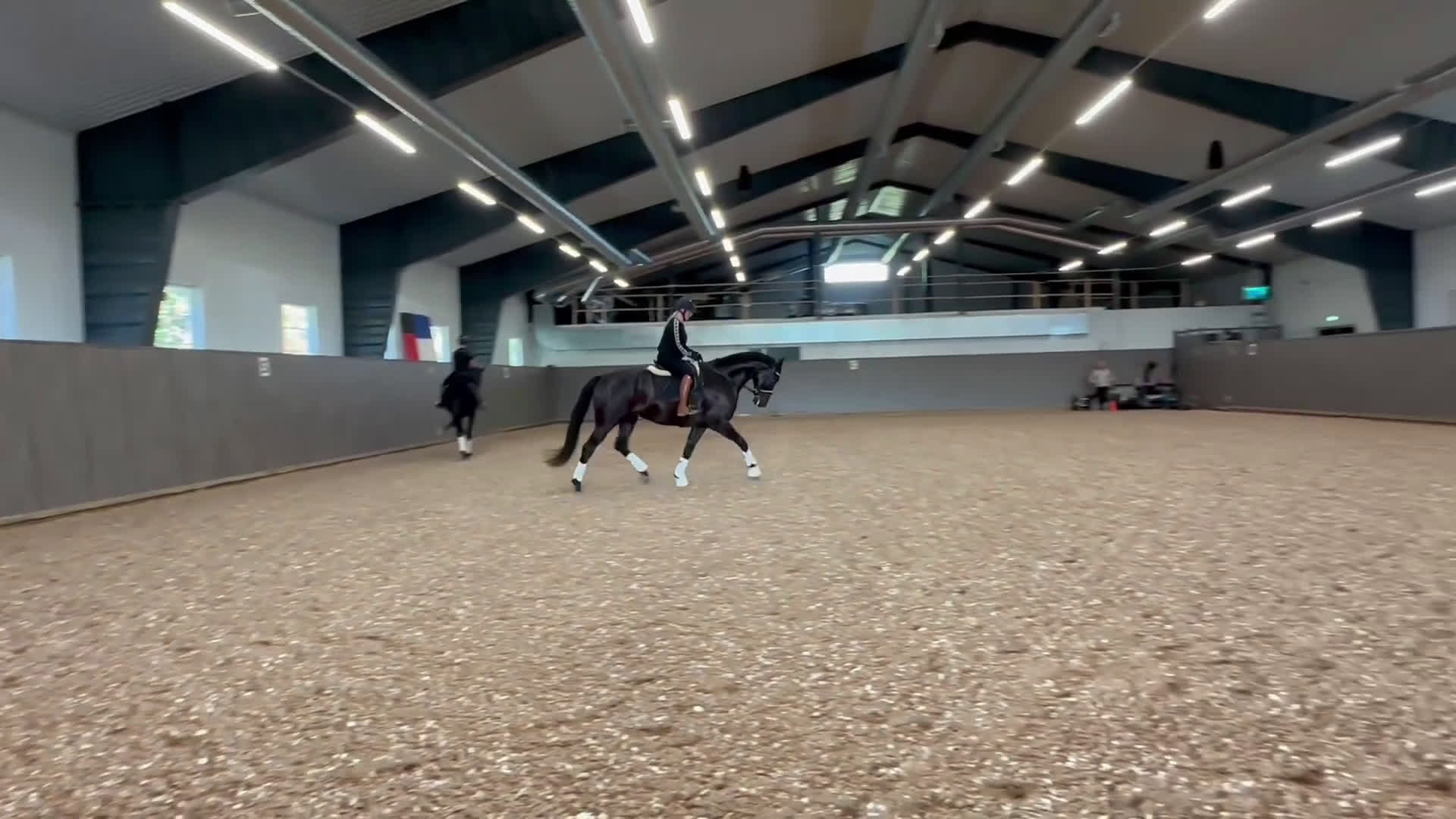 Dressyr hästar till salu: Valack 2018 e Danone i Ingarö - Video 1