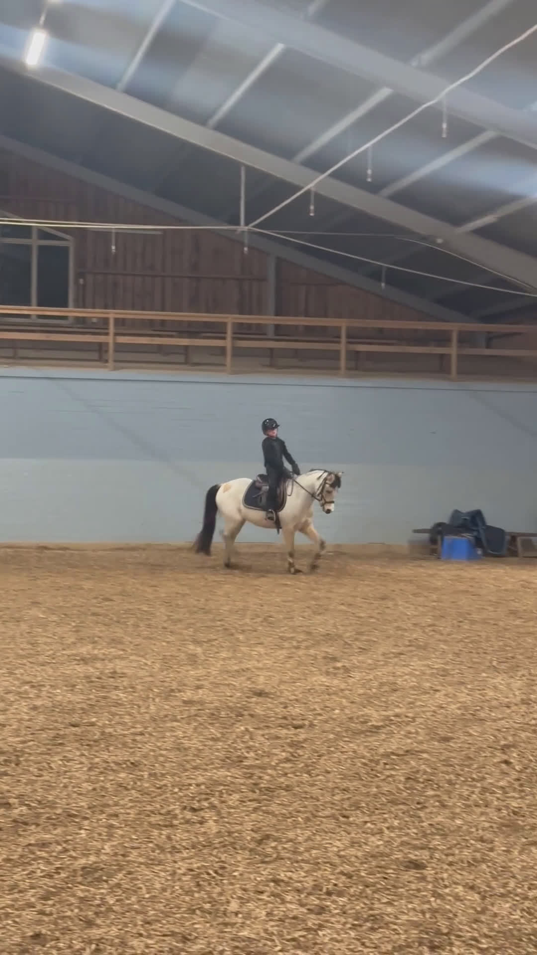 Allround hästar till salu: Superfin B-ponny  i Broddetorp - Video 2