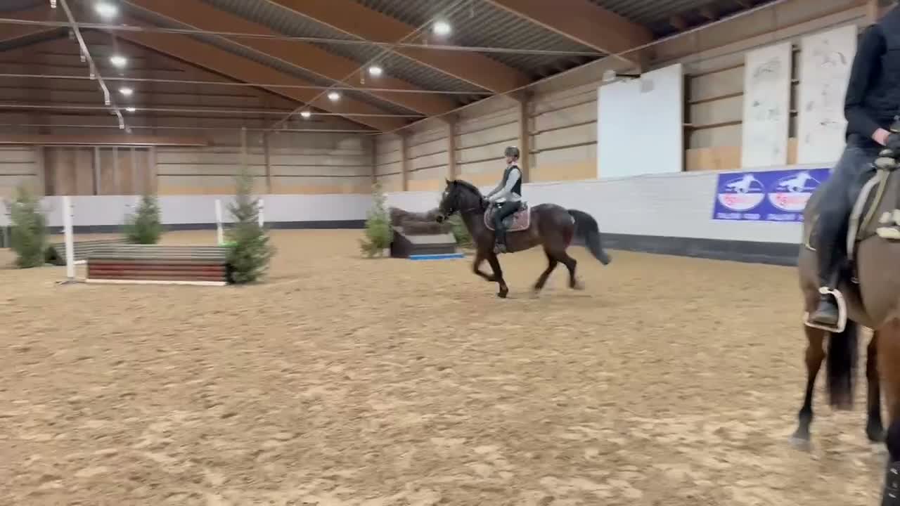 Hoppning hästar till salu: D-ponny med driv i Sigtuna - Video 1