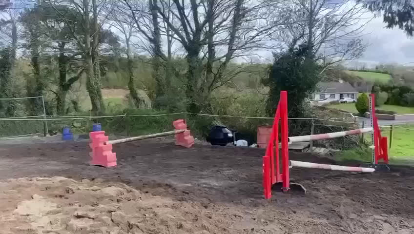 Hoppning hästar till salu: Perfekt tävlingskompis i Mörlunda - Video 4