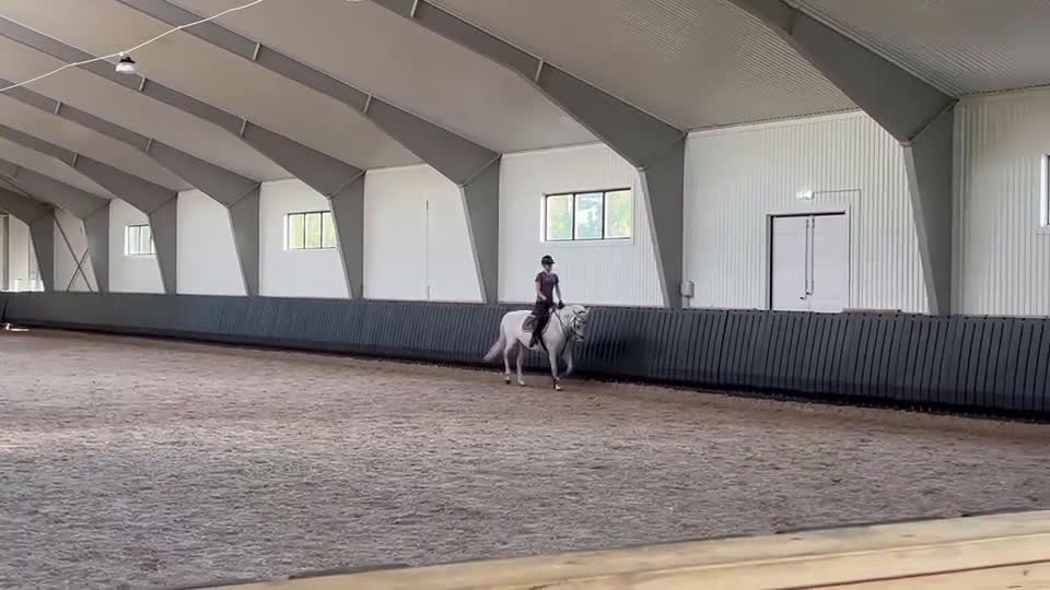 Allround hästar till salu: Fint D-ponny sto i Järna - Video 1