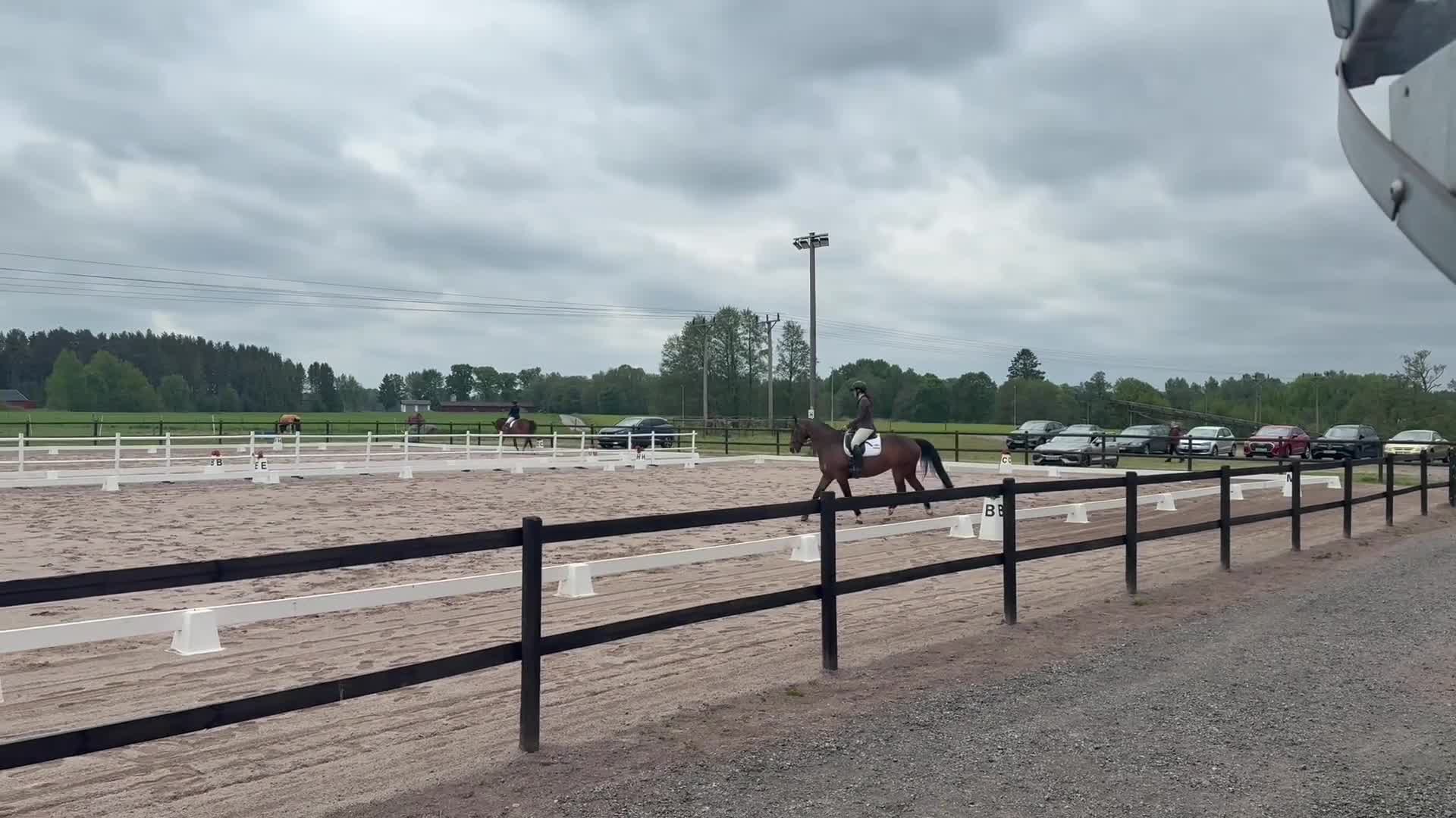 Allround hästar till salu: Pigg och trevligt allround sto - Video 3