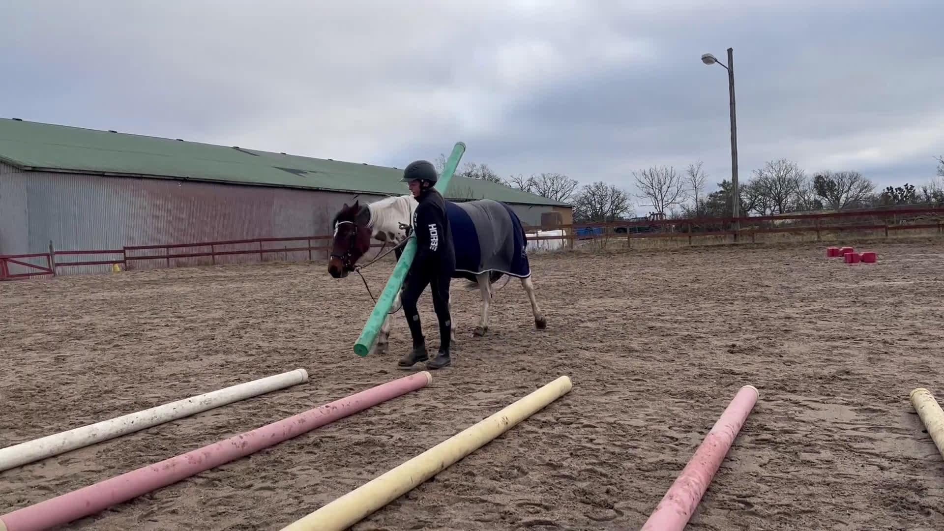 Allround hästar till salu: Hobbyponny i Ingelstad - Video 2