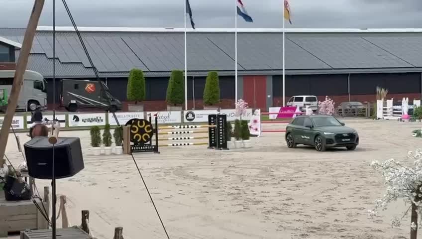 Hoppning hästar till salu: Perfekt Childen/Juniorhäst  - Video 2