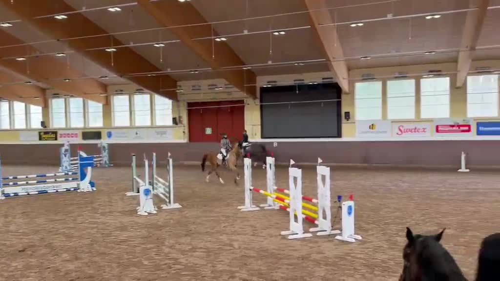 Hoppning hästar till salu: Jättefin 5 åring  - Video 1