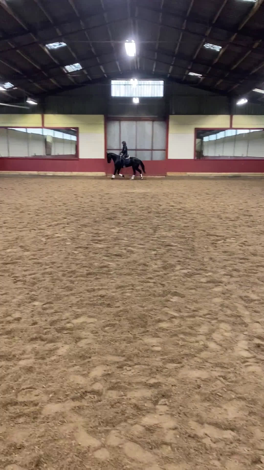 Dressyr hästar till salu: Underbart Swb sto   - Video 3