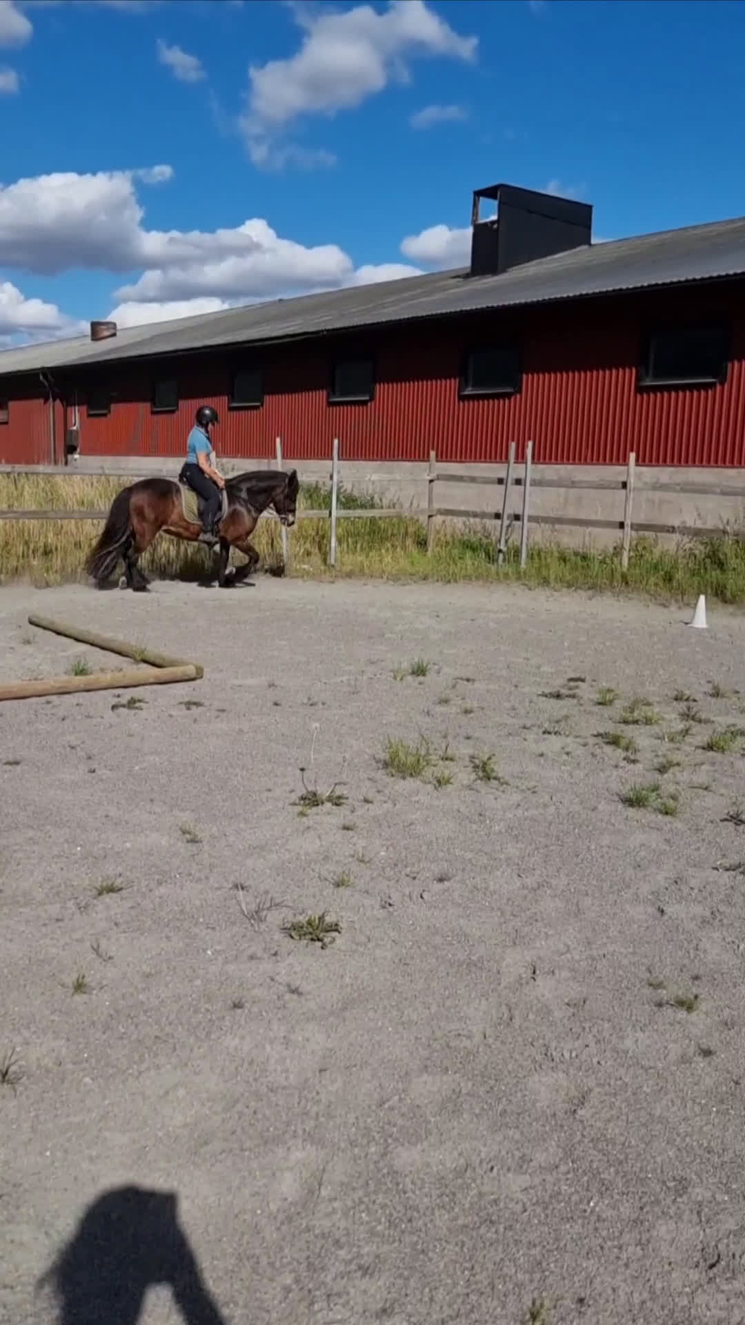 Island hästar till salu: Embla frá Vindási i Skara - Video 3