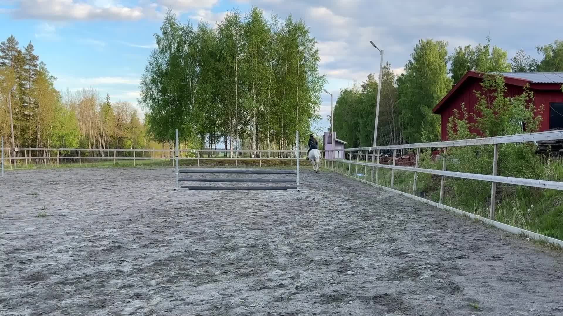 Allround hästar till salu: Fint Welshsto med utstrålning - Video 5