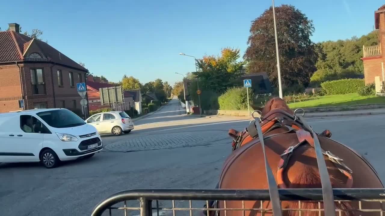 Dressyr hästar till salu: Häst med unikt temperament  i Flyinge - Video 3