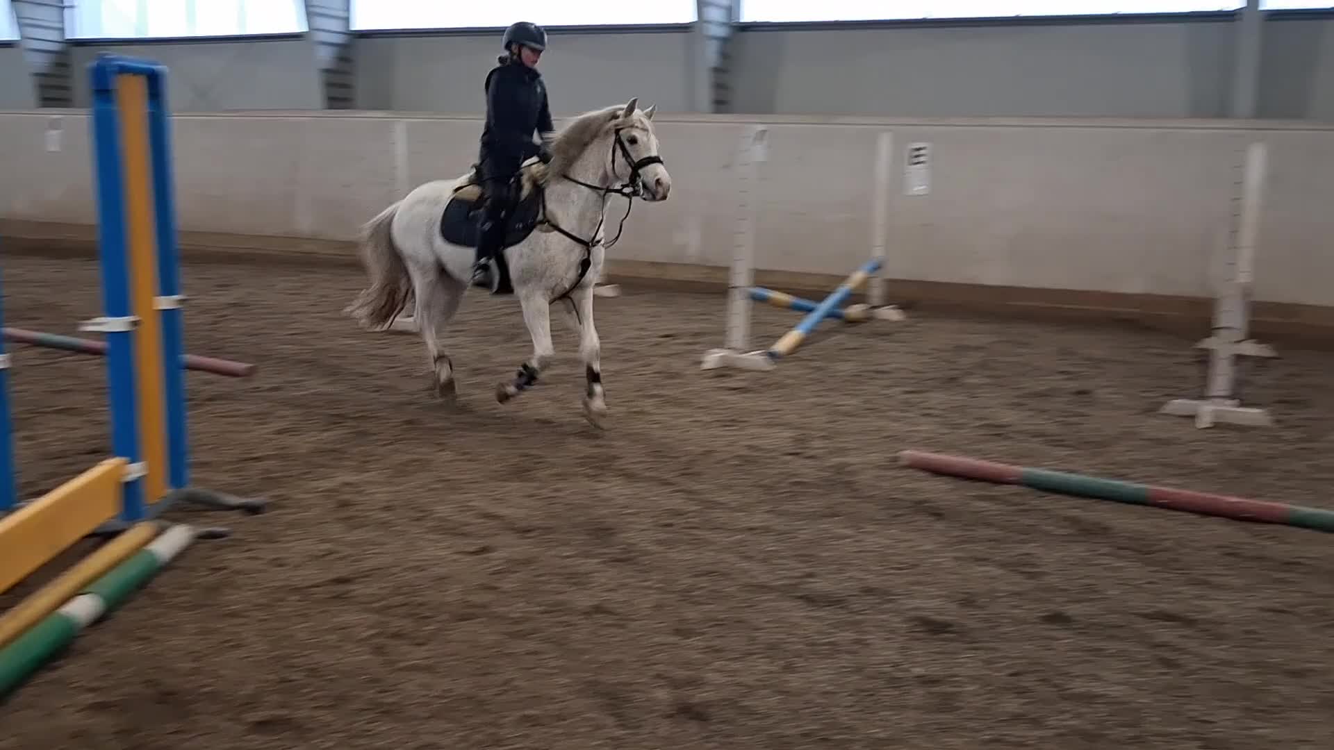 Allround hästar till salu: Charmig ponny i Storfors - Video 2