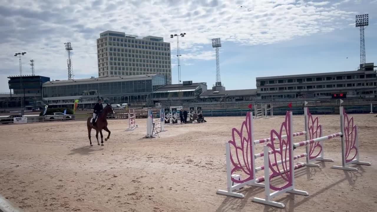 Hoppning hästar till salu: Snygg valack med toppstam i Stenkullen - Video 2