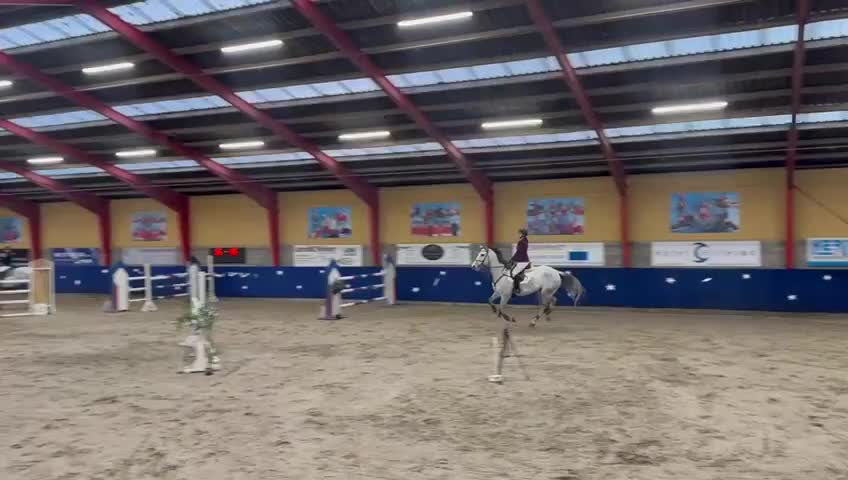 Hoppning hästar till salu: Fantastisk hest med godt mind set - Video 4