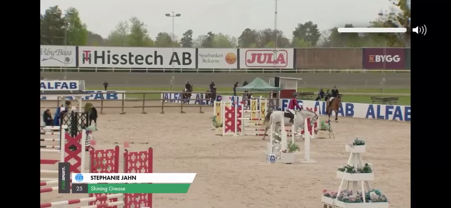 Hoppning hästar till salu: Klasshäst säljes - Video 3