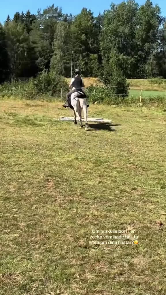 Allround hästar till salu: Din egen prinsessa ❤️ - Video 5