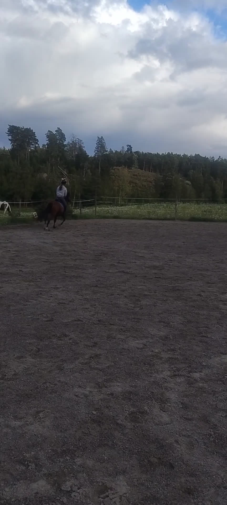 Allround hästar till salu: Stabil ponny i Björnlunda - Video 2