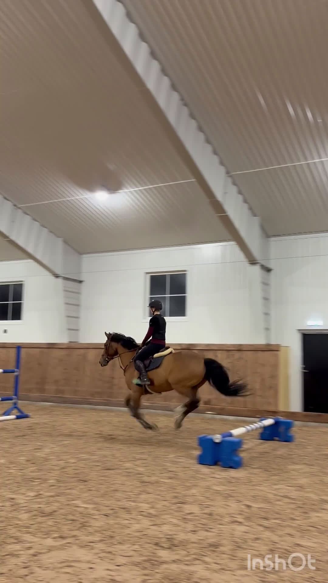 Allround hästar till salu: Lyxig läromästare med meriter i Täby - Video 2