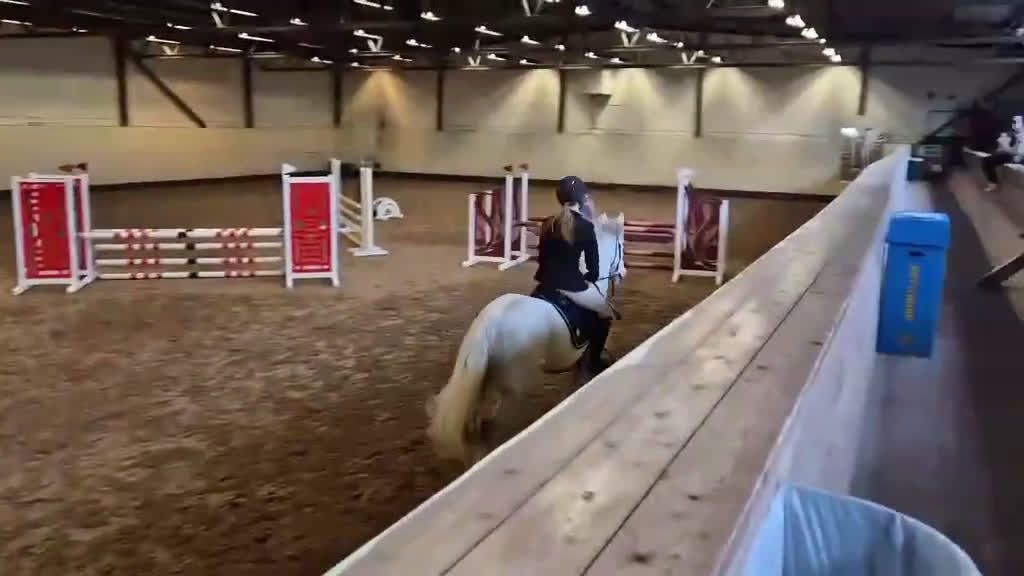 Allround hästar till salu: Positiv valack som älskar att jobba i Österhaninge - Video 4