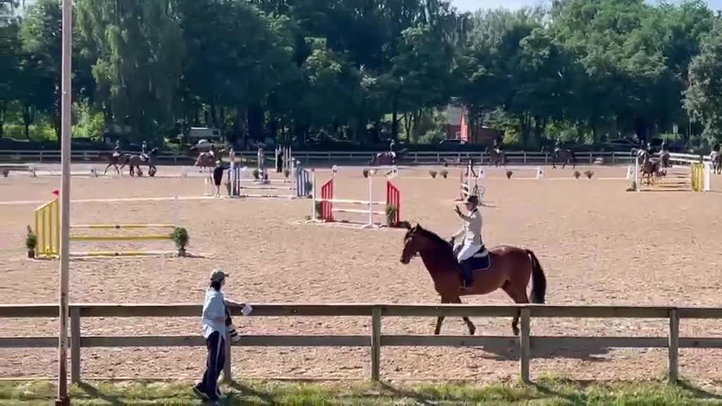 Allround hästar till salu: Partner och familjemedlem i Vadstena - Video 3