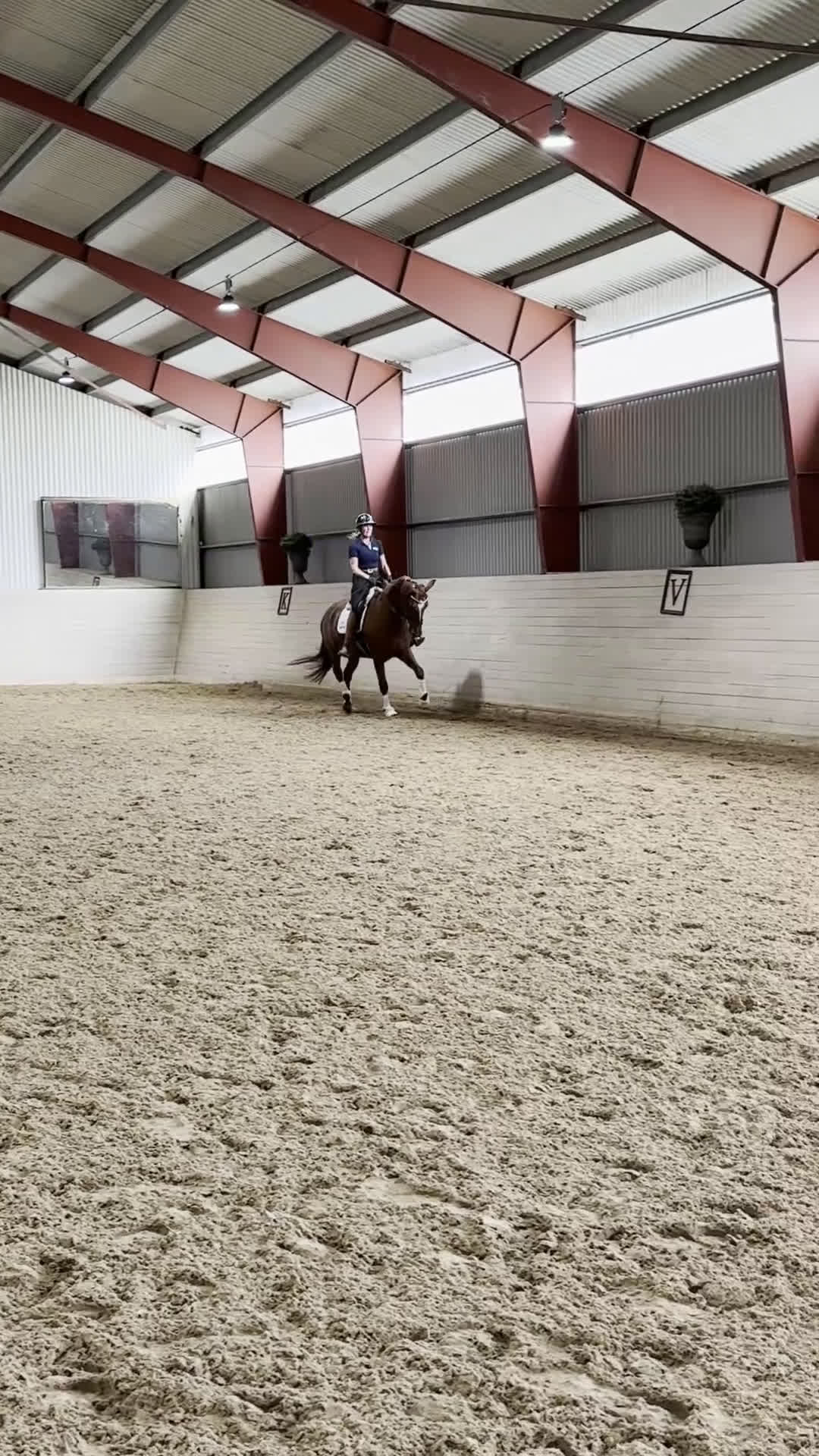 Dressyr hästar till salu: Dipmlomsto med tre bra gångarter  i Sparreholm - Video 1