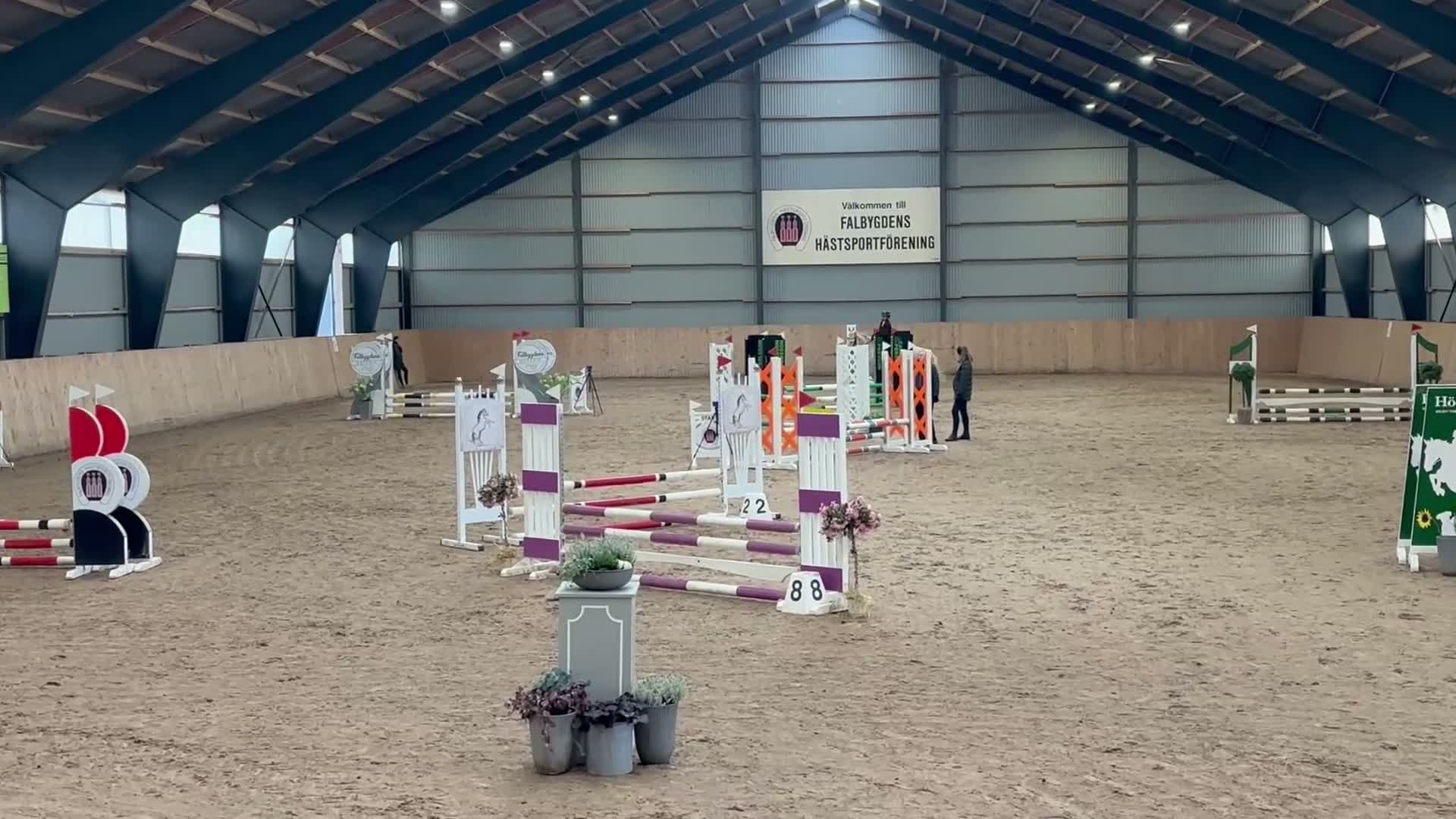 Övrigt hästar till salu: Barbie  - Video 1