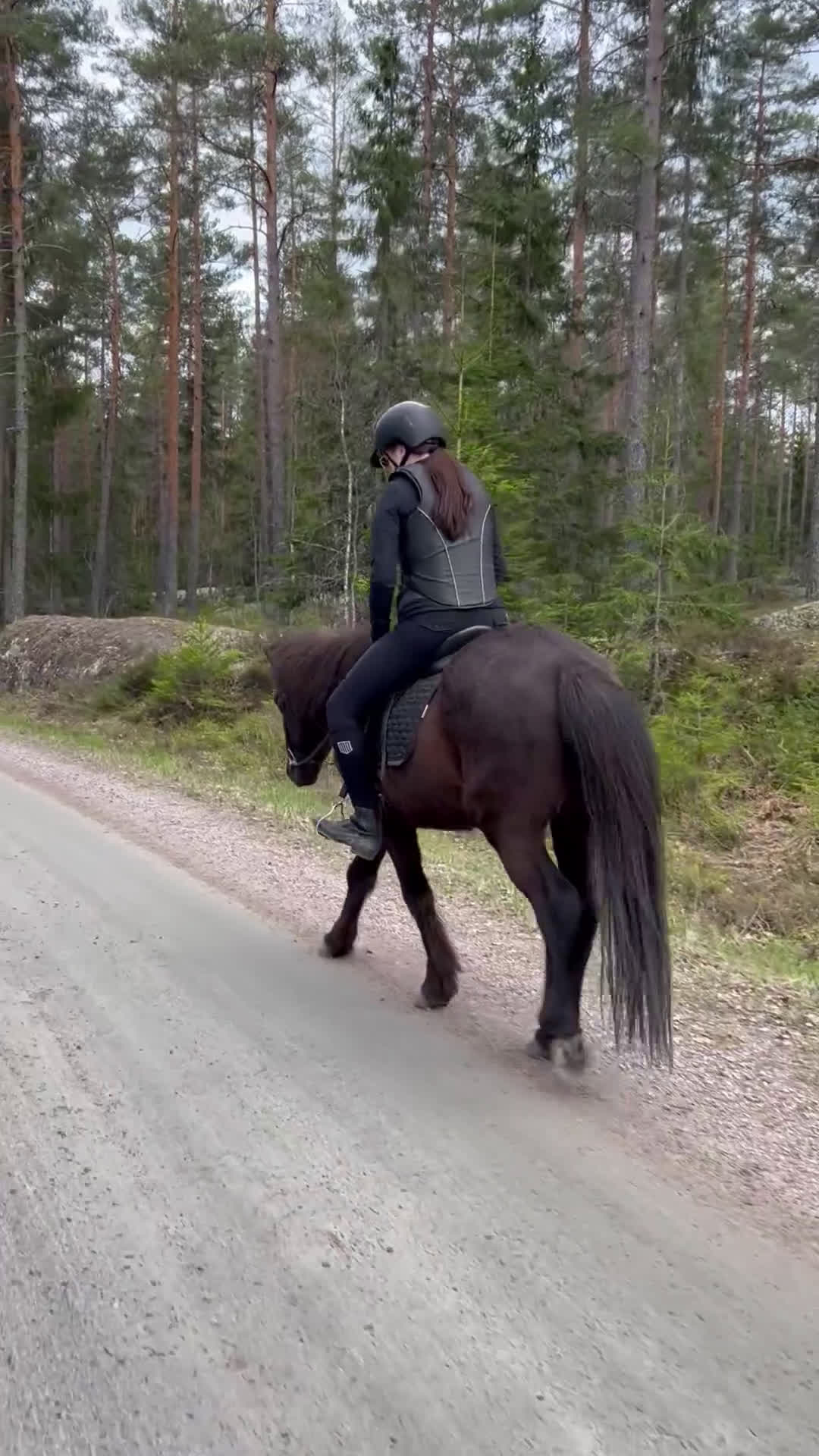 Allround hästar till salu: Söker du ett tryggt och stabilt förhållande? i Järlåsa - Video 3