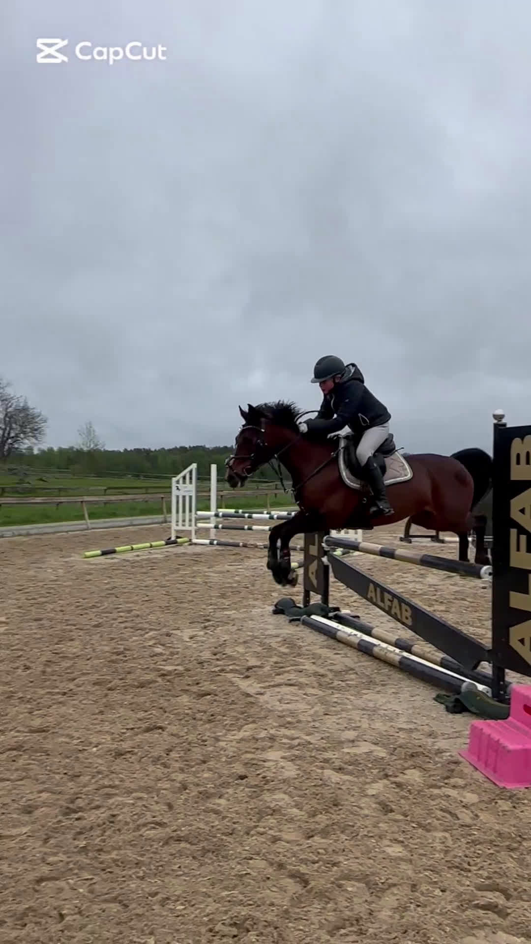 Hoppning hästar till salu: Fantastisk Mästerskaps ponny  i Katrineholm - Video 1