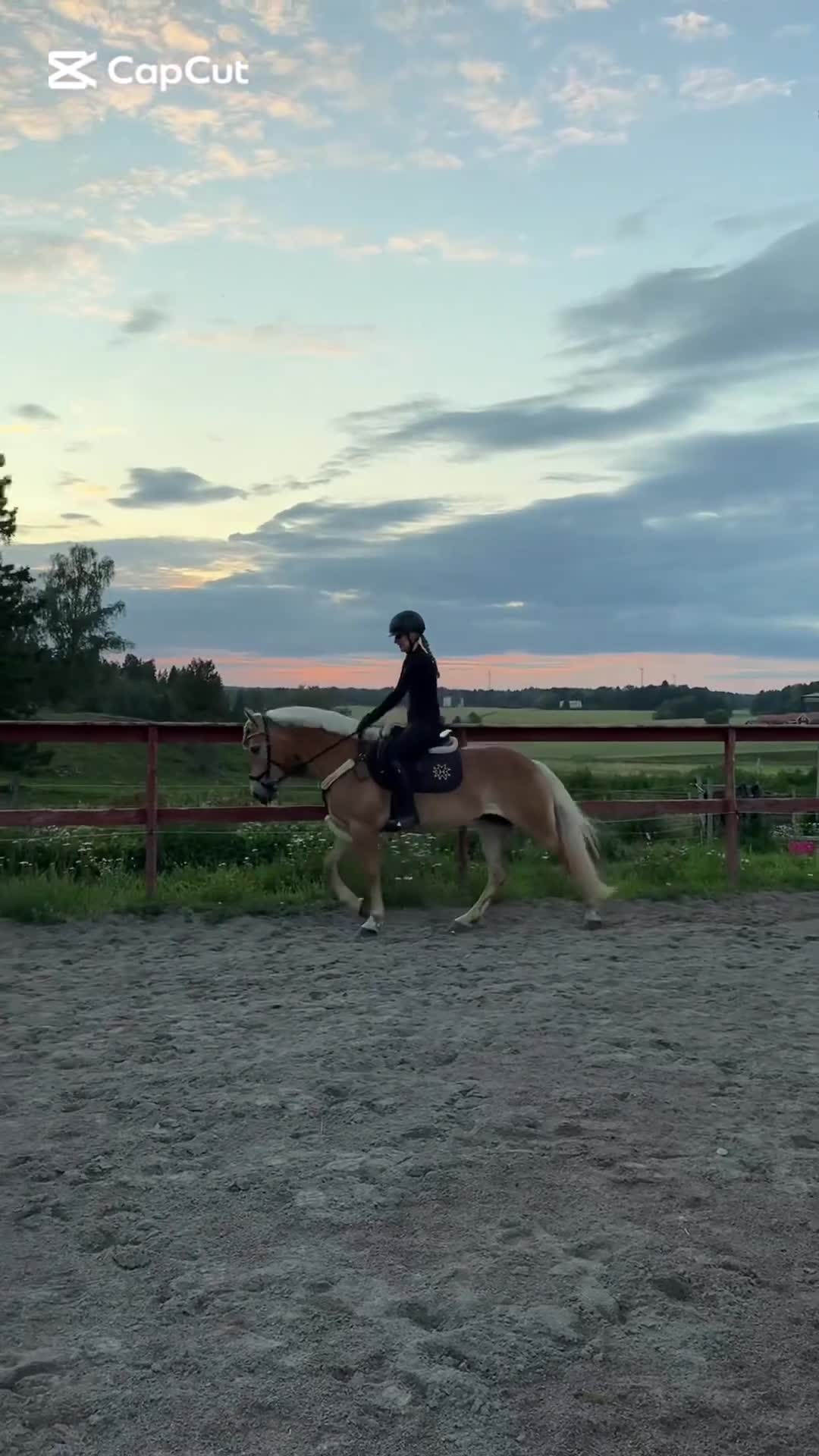 Allround hästar till salu: Oslipad diamant 💛 - Video 2