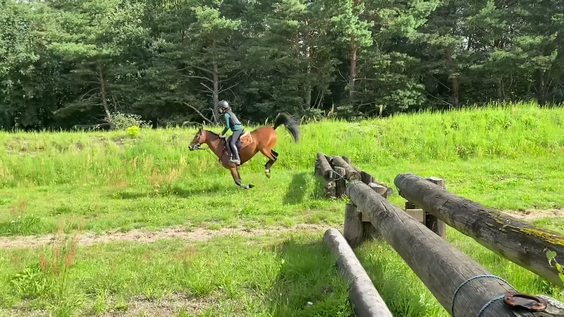 Allround hästar till salu: Pigg välriden ponny i Lund - Video 5