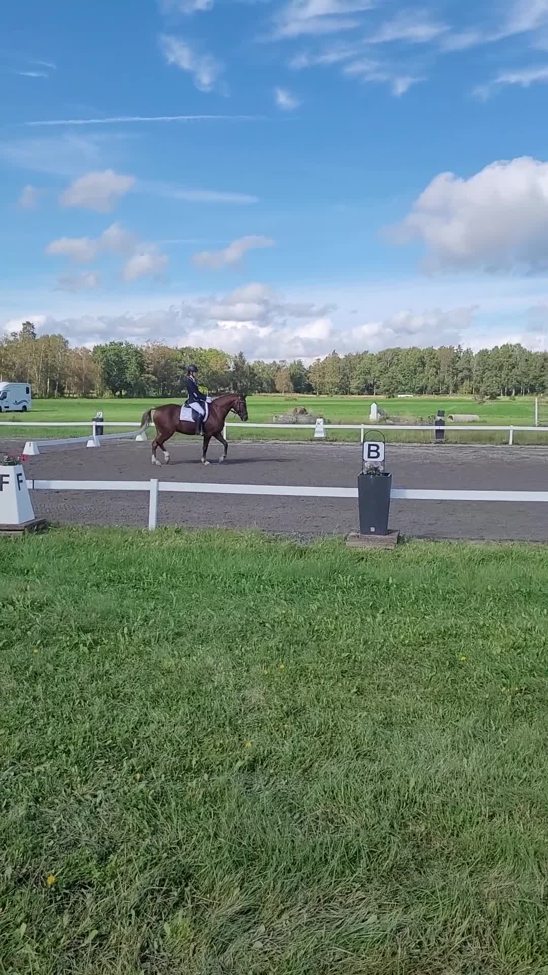Dressyr hästar till salu: Prinzessin  i Örebro - Video 2