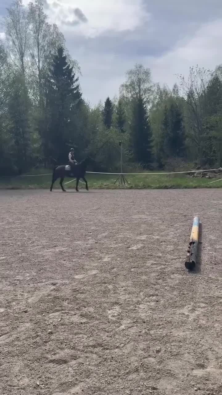  foderhäst finnes: Önskar hitta fodervärd till min fina Ina i Gävle - Video 2