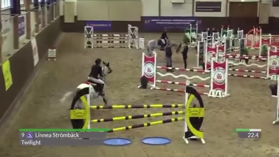 Hoppning hästar till salu: Fullstammad Svensk ridponny  - Video 1