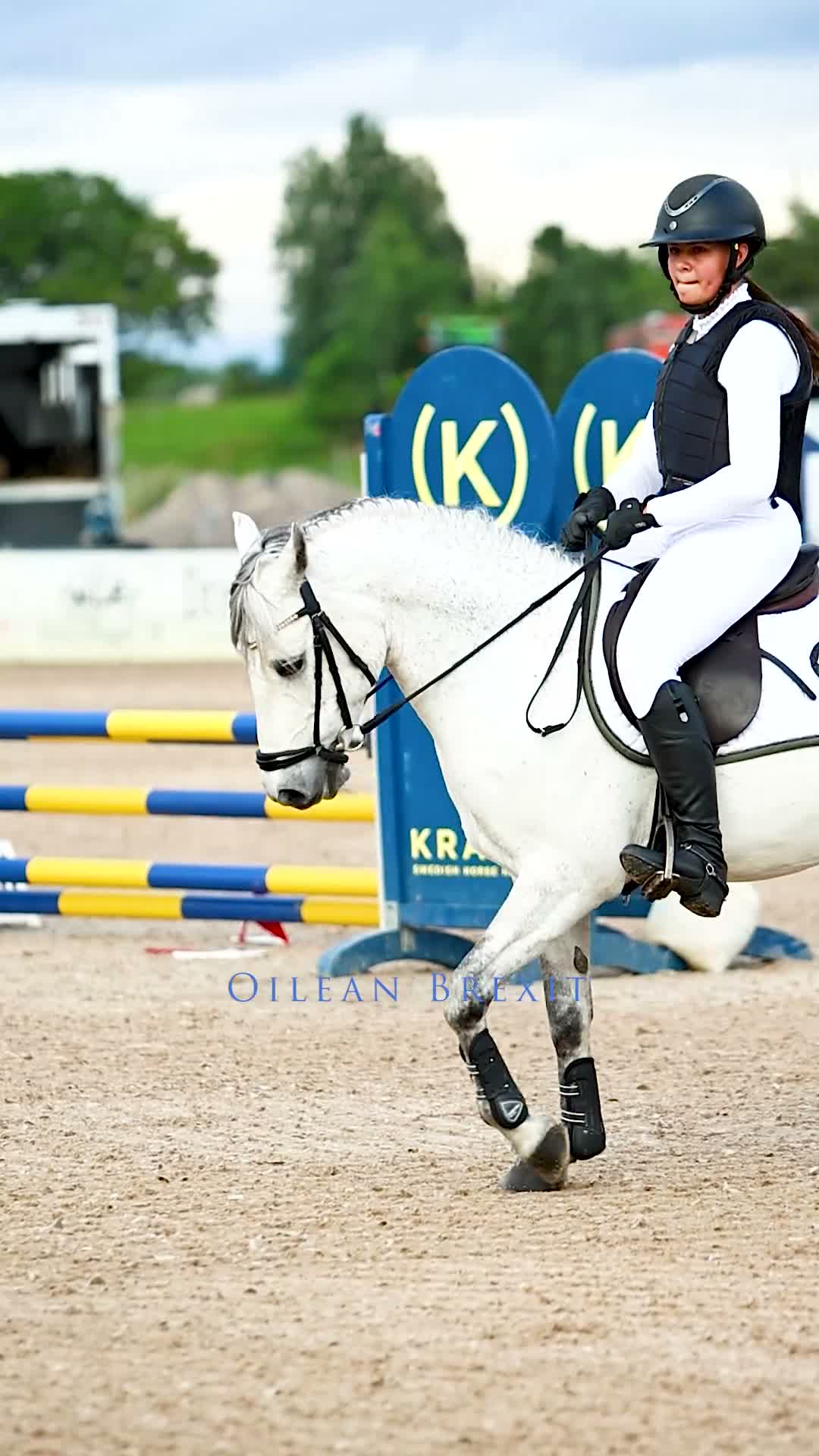 Dressyr hästar till salu: Fin dressyr/allroundponny - Video 1