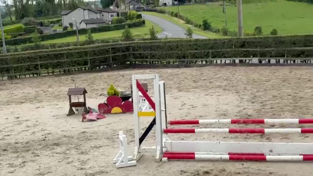 Hoppning hästar till salu: 4 årig d-ponny valack  i Ödsmål - Video 1