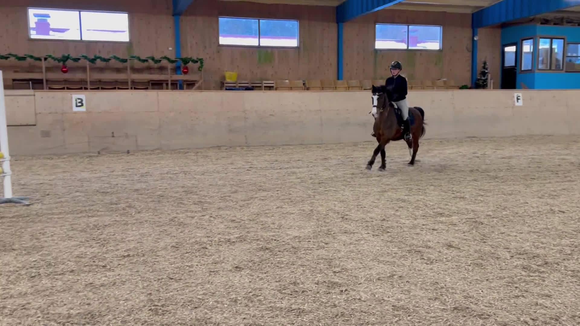 Allround hästar till salu: Äldre gentleman söker sista hem i Bengtsfors - Video 3